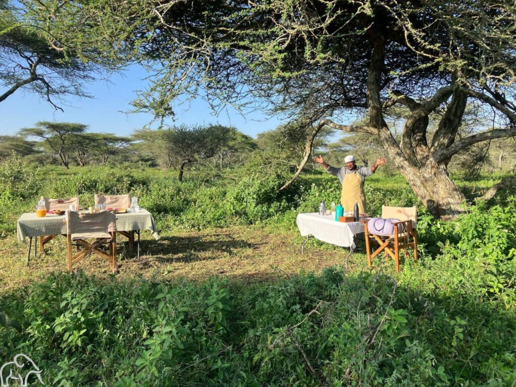 bush lunch bij het green camp in lake manyara