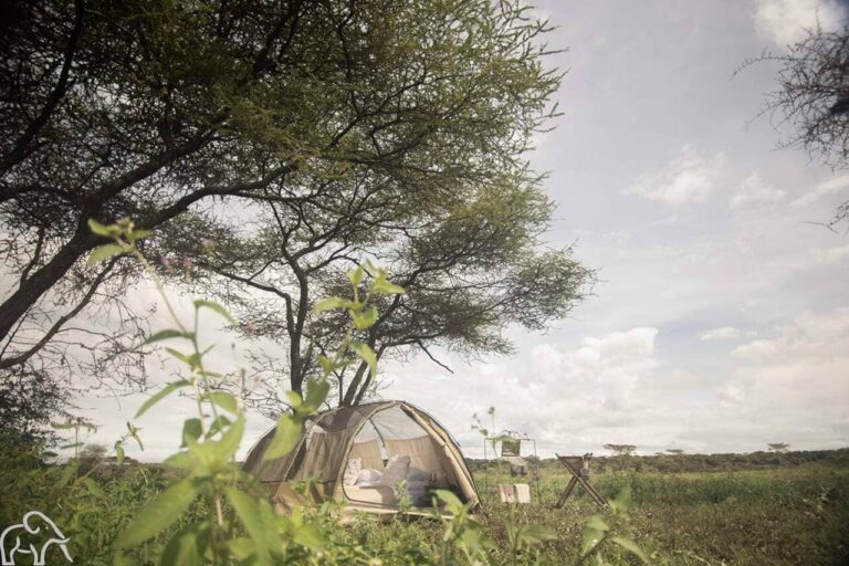 Tent die gebruikt wordt voor wandelsafari's