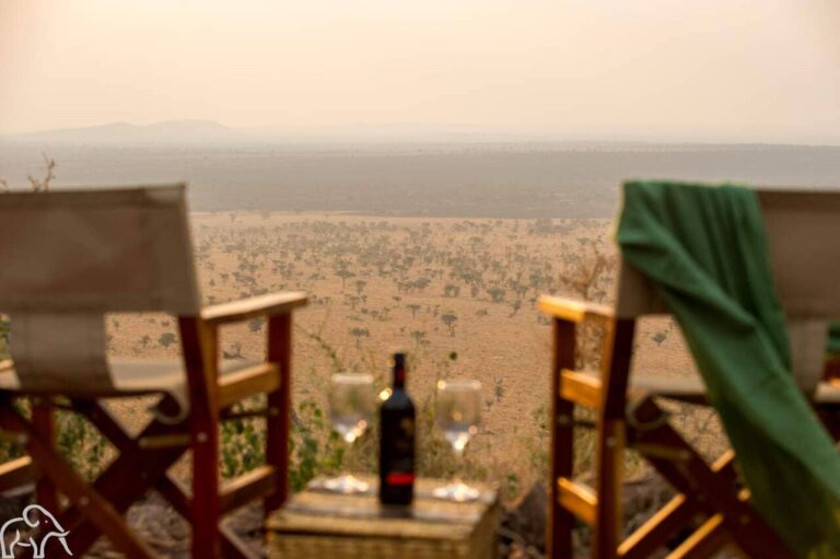 Accommodaties Safari Tanzania Kubu Kubu sundowner