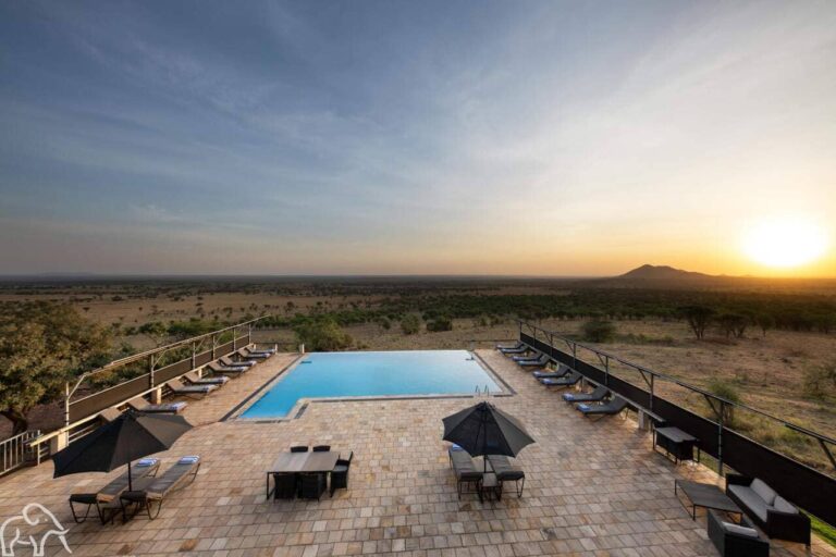 Accommodaties Safari Tanzania Kubu Kubu infinity pool met uitzicht over de Serengeti