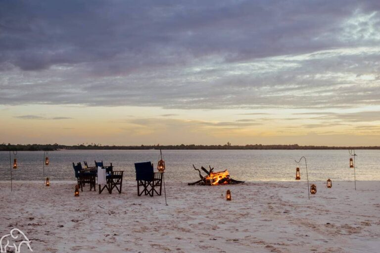 Kampvuur op het strand aan de zee