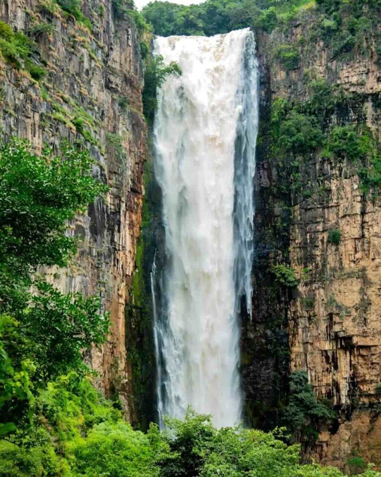 rotsen en bomen en de kalambo waterval in het westen van Tanzania