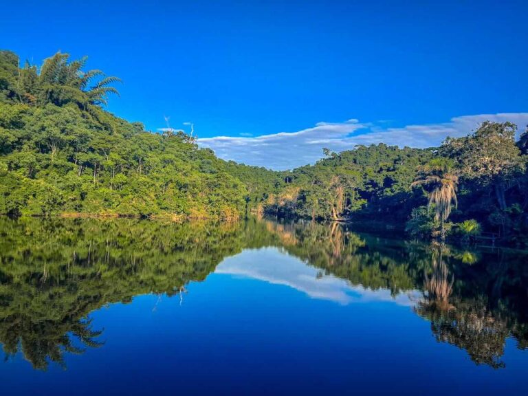 blauwe lucht en water omgeven door een groen bos