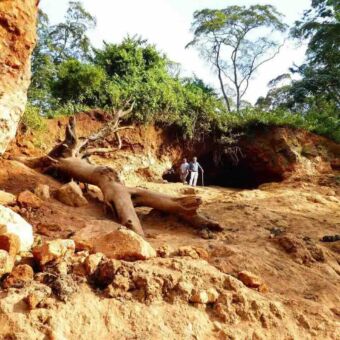 bezoek aan de olifant grotten geelachtig zand met boomstam en daarachter twee mannen voor een grot met daarboven groen. De grot is gemaakt en wordt gebruikt door olifanten voor mineralen