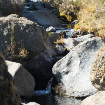 wandeling op shira plateau met veel stenen een beekje ne dor gras op de KIlimanjaro