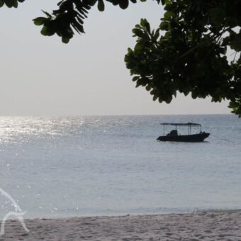 ultieme rust vanaf het strand kijkend naar een vissersboot op zee