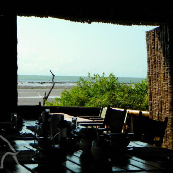 Tent with a view uitzicht vanuit het restaurant van tent with a view Saadani uitkijkend door de openslaande deuren op groene bosjes en het strand en indische oceaan