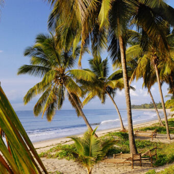 strand bij Tides lodge uitzicht over een strand met palmbomen en de indische oceaan bij Pangani