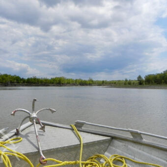 Wami rivier op de punt van de boot ligt het anker en daarvoor de Wami rivier met groene oevers met dicht struikgewas tijdens een boottocht op de Wami rivier