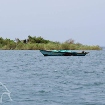 vissersbootje uitzicht op het meer Tanganyika met een vissersboot in het water en daarachter een groene strook met hoog gras
