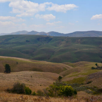 heuvelachtig landschap ronde kleine heuvels achter elkaar naast elkaar en over elkaar van bruin naar groen in Kitulo