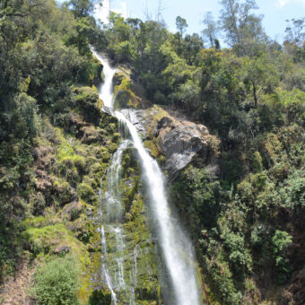 waterval waterval van 5 meter in een zeer groene omgeving met mos en bomen bij Kitulo