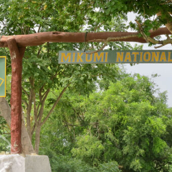 Mikumi national park informatiebord boven de parkentree van Mikumi met het opschrift Mikumi National Park