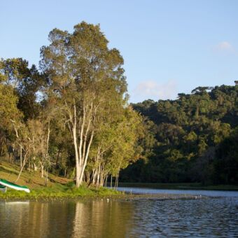 meer uitzicht over het meer van Mufindi met op de oever twee kano's en hoge bomen