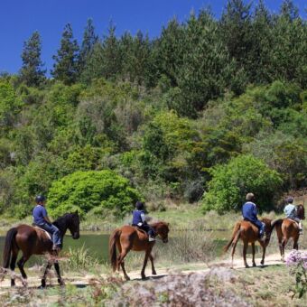 paardrijden vier mensen op een paard op een weggetje naast het Mufindi meer