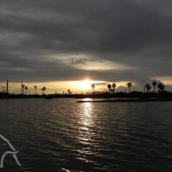 zonsondergang zonsondergang op de Rufiji river met uitzicht over het water en palmbomen aan de kant