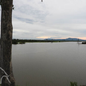 Rufiji rivier uitzichtvanf de kant over de Rufiji rivier in Selous