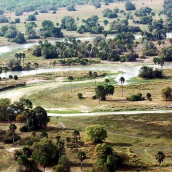 vanaf een heuvel een landschap met palmbomen, bomen en grasland met daar doorheen slingers een rivier in Ugalla National Park