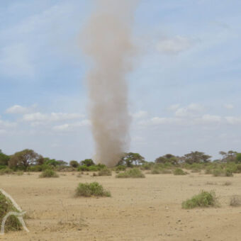 kleine zandtornado kolom op een dorre droge vlakte met daarin groene struikjes
