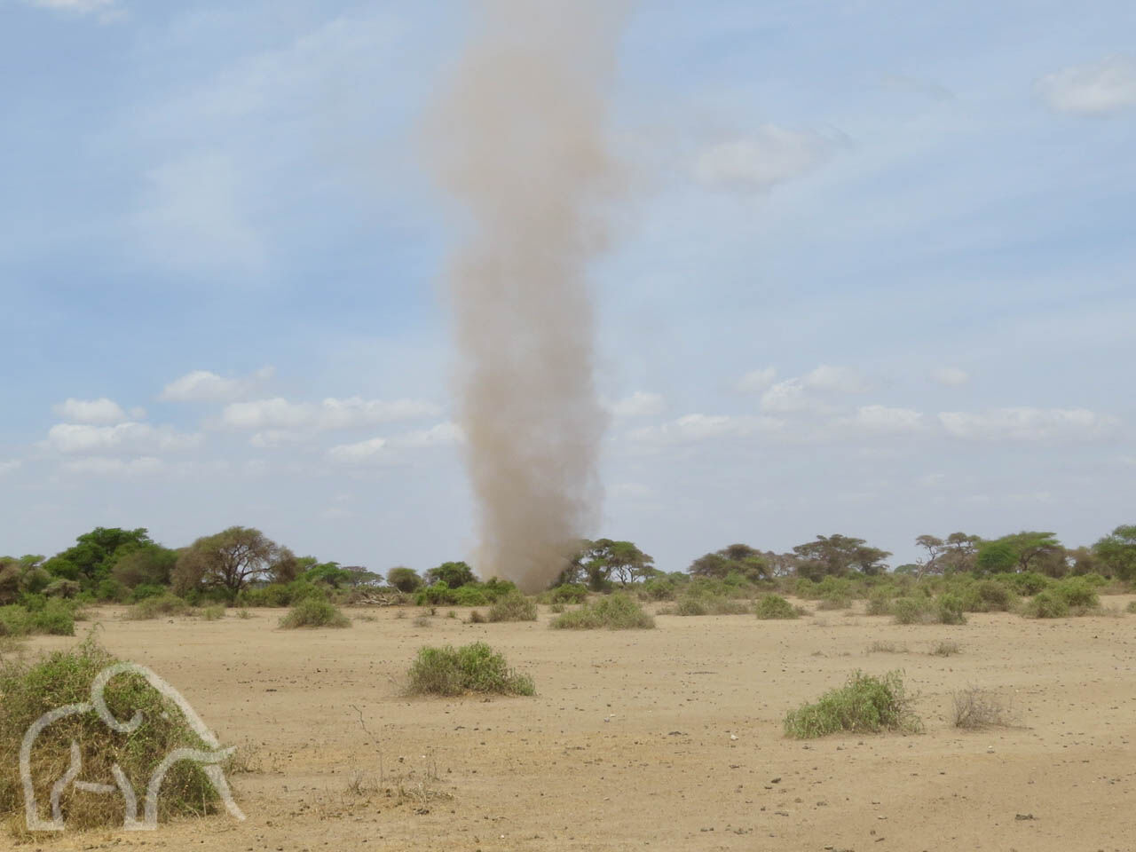 kleine zandtornado kolom op een dorre droge vlakte met daarin groene struikjes