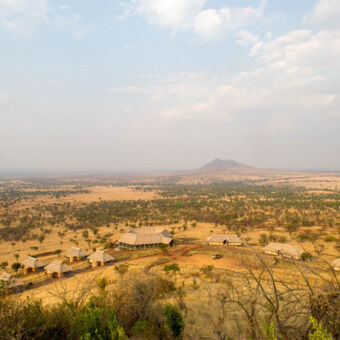 luxe tented lodge in de Serengeti vanuit de lucht in het typische landschap van de serengeti met goudgeel gras en de acacia paraplu bomen een overzicht van huisje met bietendak en een groter gebouw voor diner van Kubu-Kubu