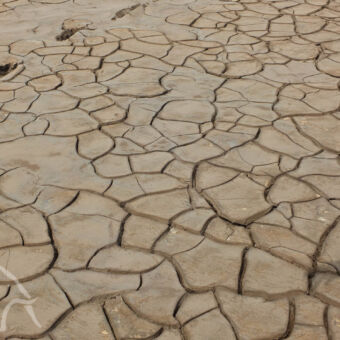 droogte uitgedroogd meer van lake eyasi met scheuren in de klei van de droogte