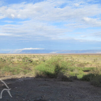 uitzicht vanaf een heuvel uitzicht over de vlaktes van lake eyas en de great rift valley rim aan de horizoni