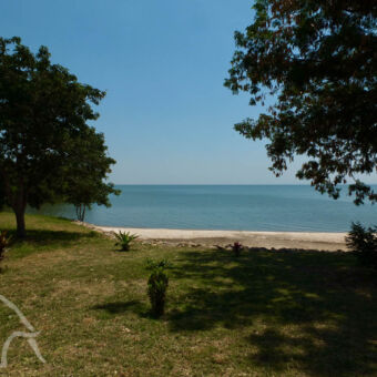 strand bij Lake Victoria groene oever met bomen aan de zijkant en een wit strand daarachter aan Lake Victoria strand