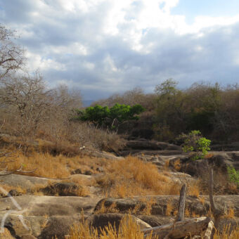 rotsen rotsen in een droge rivierbedding met daarom heen striukgewas bij Mkomazi