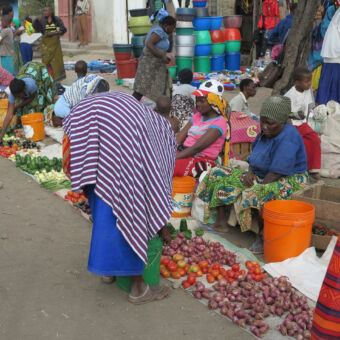markt vrouwen zittend voor het koopwaar van verse tomaten uien komkommer in Mto wa Mbu