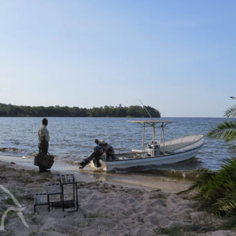 een onbewoond eiland met 1 lodge trappetje op het strand met een man met tas en daarachter op de oever een mand die een boot klaar maakt voor vertrek bij rubondo national park