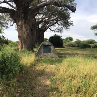 Twee koepeltentjes op een special campsite in Tarangire voor een speciale overnachting in de bush