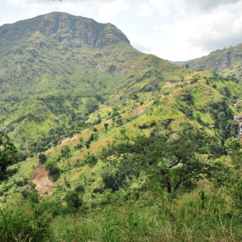 berglandschap heel groen berglandschap kijkend van beneden naar boven