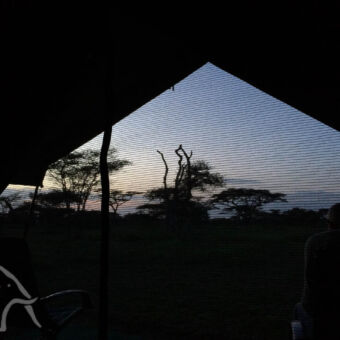 magische zonsopkomst ochtendschemering gezien door een hor van een canvas tent