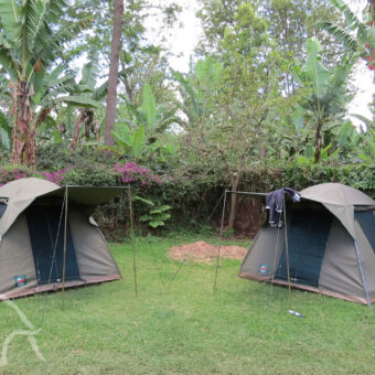 2-persoonstenten gras met twee koepelteksten en luifel in tuin met bomen