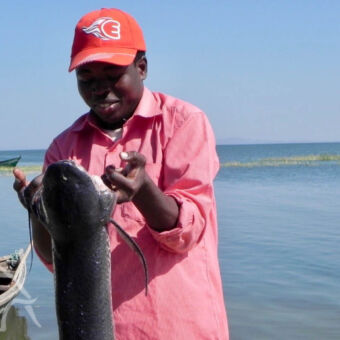 vangst grote vis man die een vis omhoog houdt met zijn vingers in de kieuwen bij van Lake Victoria