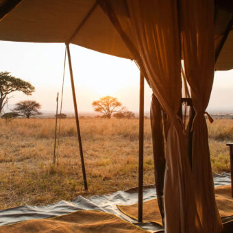 Wat een uitzicht! uitzicht over de serengeti met z'n goud gele gras en acacia's vanuit een canvas safari tent met open flappen