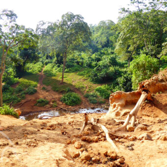 Ngorongoro forest zanderige grond met daarin een riviertjes en verder een dicht bos