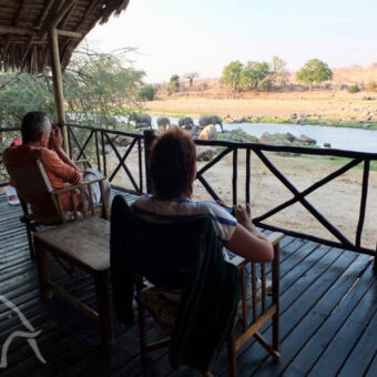 het gebeurt voor je neus Over ons. Safari Ruaha Tanzania. Oprichters van Droomreis Tanzania zitten op hun veranda en kijken uit over de rivier waar olifanten komen drinken