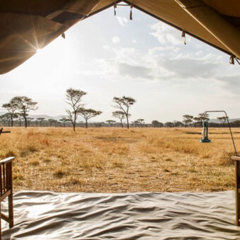 fantastisch uitzicht uitzicht over de serengeti vanuit een open geslagen safartent