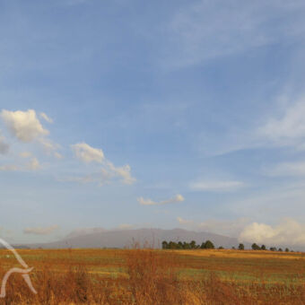 uitzicht op de witte top grote glooiende vlakte met gras en kleine bomen in de verte de kilimanjaro met witte top