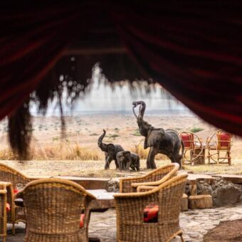 Uitzicht vanuit de dining tent bij Africa Amini lodge op 3 olifanten beelden