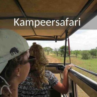 Dieren spotten vanuit de safariauto 15 daagse kampeer en lodge rondreis door Tanzania en daarna naar Zanzibar. Met vrienden. Tijdens deze rondreis staan 2 mensen in de safariauto wilde dieren te spotten
