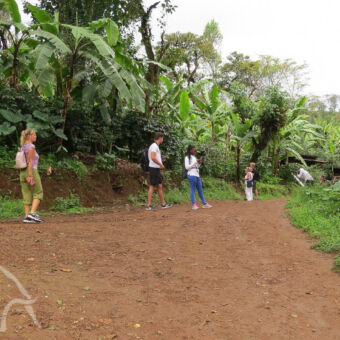 vruchtbare gebieden meerdere mensen op een weg lopend en stilstaand tijdens een wandeling in de buurt van Materuni waterval