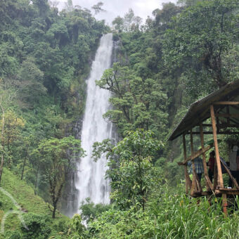 waterval in een heel groen landschap met een uitzichtpunt rechts met mensen die naar de waterval kijken