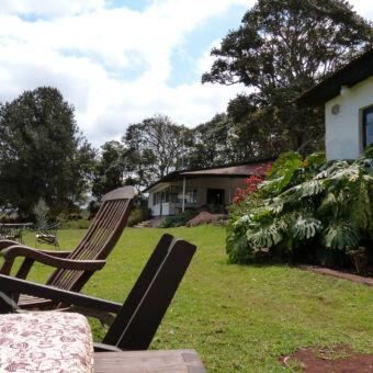 relaxen in de tuin tuin met gras en stoelen twee gebouwen van Simba farm tanzania