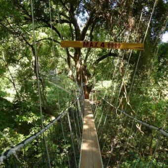 smalle touwbrug met houten weg voor maximaal vier personen de treetop walkway bij lake manyara