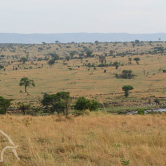 geweldig uitzicht vanaf het terras welke gemaakt is op een plateau hoog bovenop een landrover een fantastisch uitzicht op de mara rivier oude migratie te spotten