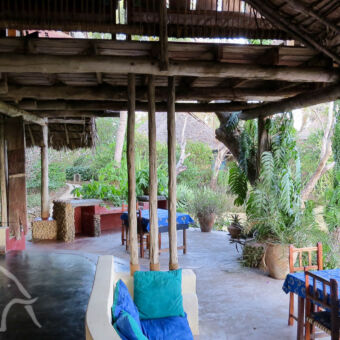 restaurant restaurant met zitjes onder een bietendak en uitzicht op het bos