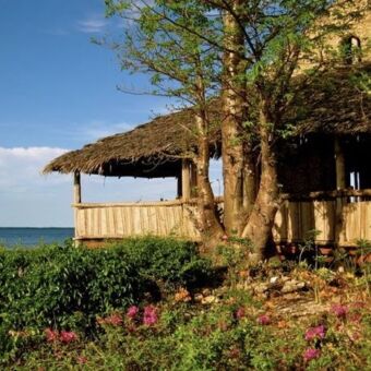 boomhut net bovine meeste toppen van de bomen een boomhut half open met rieten dak mafia tanzania